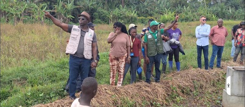 Erfolgreich Erfahren Sie mehr über Zotabet Casino - Die Online Casino Erfahrung