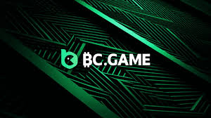 BC.Game Registration Process A Step-by-Step Guide
