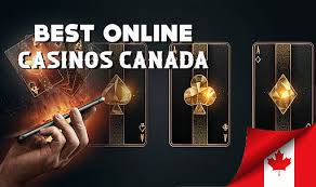 Best Online Live Casinos A Comprehensive Guide