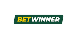 Understanding BetWinner General Terms and Conditions