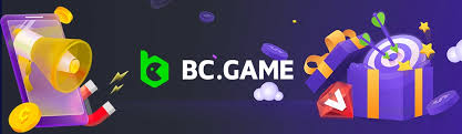 Understanding the BCigra Mirror Site A Comprehensive Guide
